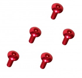 M2 x 6 Scoket Button Screw TAMIYA MINI 4WD - M4WD-19/RE