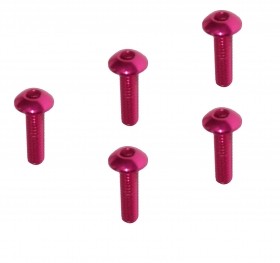 M2 x 8 Scoket Buttom Screw TAMIYA MINI 4WD - M4WD-20/PK