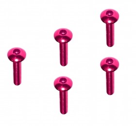 M2 x 10 Scoket Buttom Screw TAMIYA MINI 4WD - M4WD-21/PK